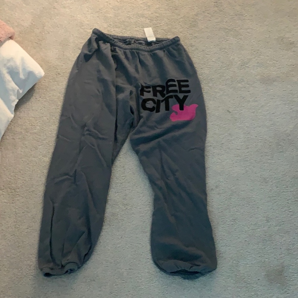 BRAND NEW WITHOUT TAGS free city sweatpants!